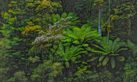Digital Art: Forests and Woodlands