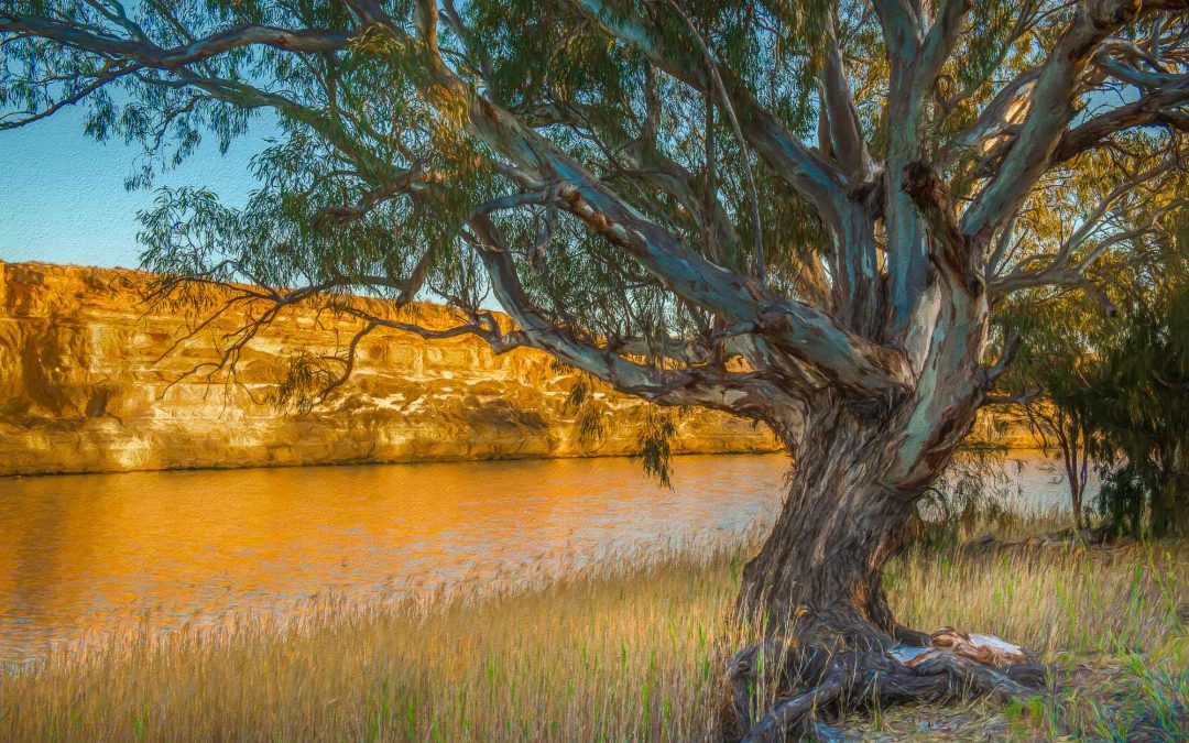 Digital Art: Australian Rivers Lakes and Floodplains