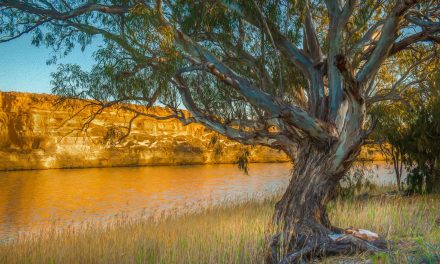 Digital Art: Australian Rivers Lakes and Floodplains