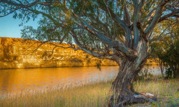 Digital Art: Australian Rivers Lakes and Floodplains