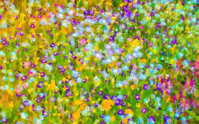 Digital Art: Australian Wildflowers