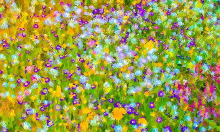 Digital Art: Australian Wildflowers
