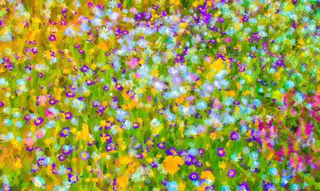 Digital Art: Australian Wildflowers