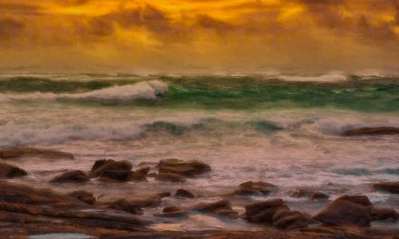 Digital Art: Australian Coasts