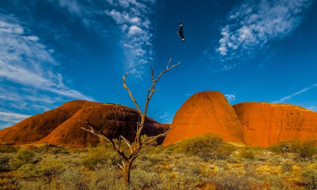 Digital Art: Australia’s Arid Lands