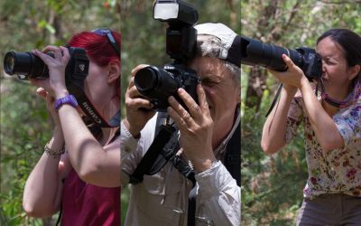 Photographing Australia: Choosing a Camera