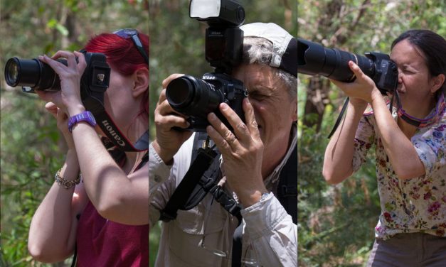 Photographing Australia: Choosing a Camera
