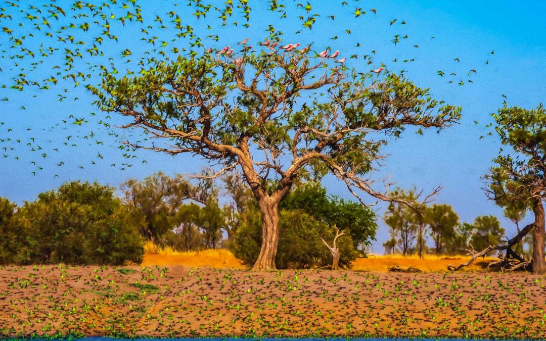 Digital Art: An Ode to Trees