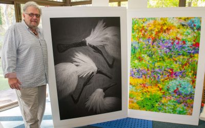 About Steve Parish Digital Fine Art