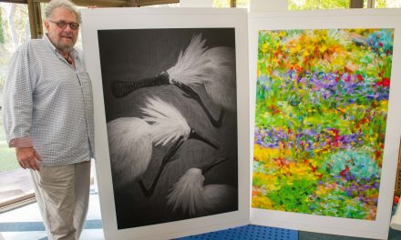 About Steve Parish Digital Fine Art