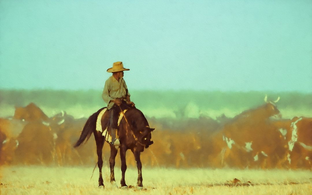 Digital Art: Outback & Country