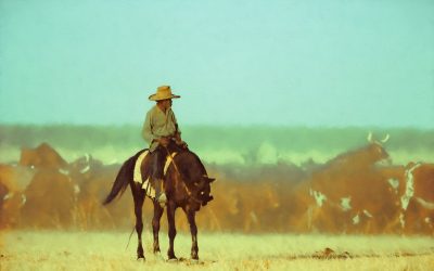 Digital Art: Outback & Country