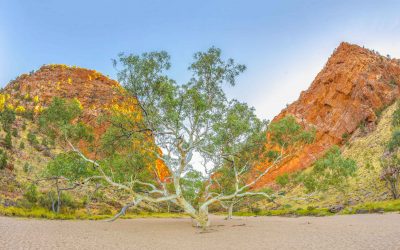 Connecting with the Essence of Australia