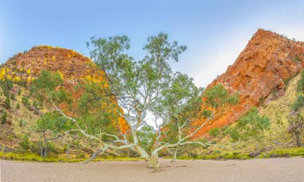 Connecting with the Essence of Australia