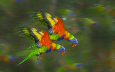Creative Life: Navigating Through The Noise