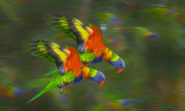 Creative Life: Navigating Through The Noise