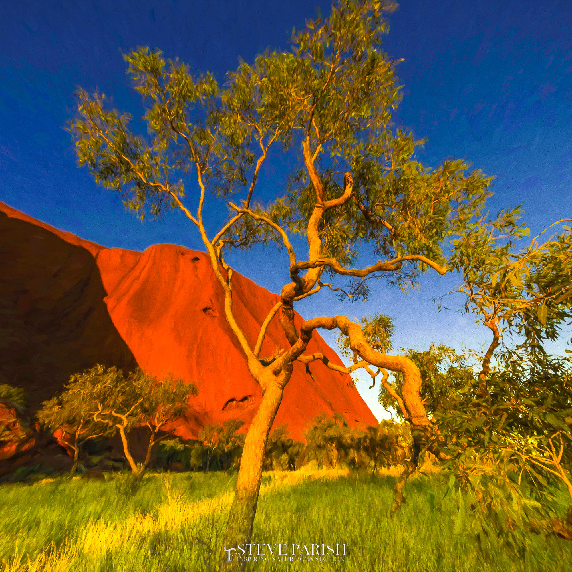 The Healing Tree