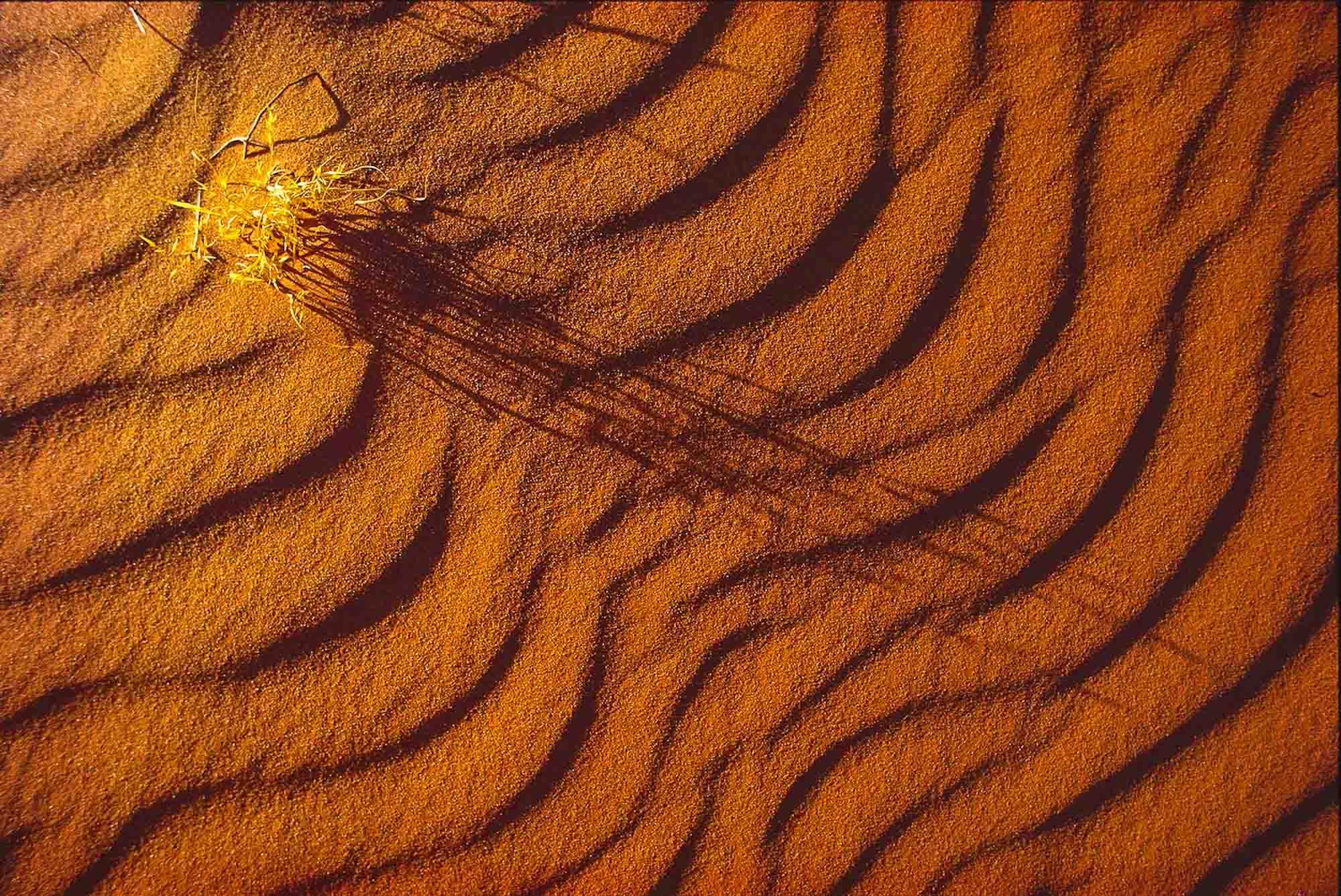 SPNC-AB03968