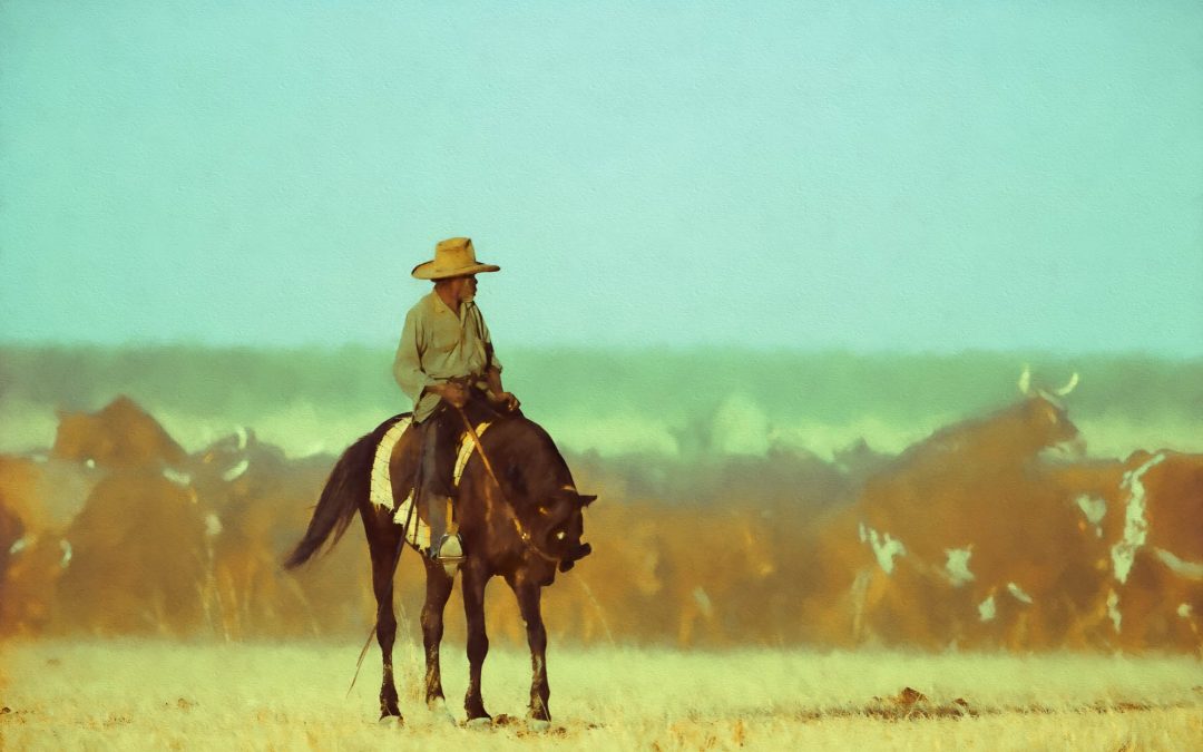 Photographing Australian Outback Horse Culture