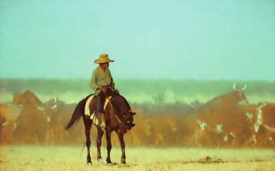 Photographing Australian Outback Horse Culture