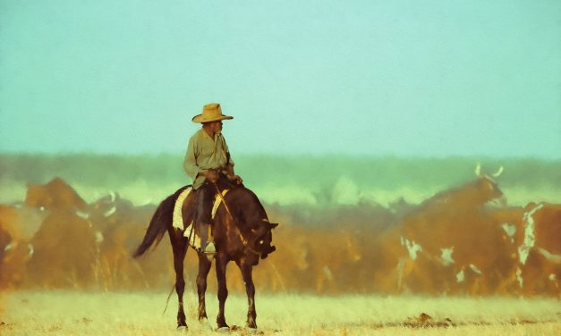 Photographing Australian Outback Horse Culture