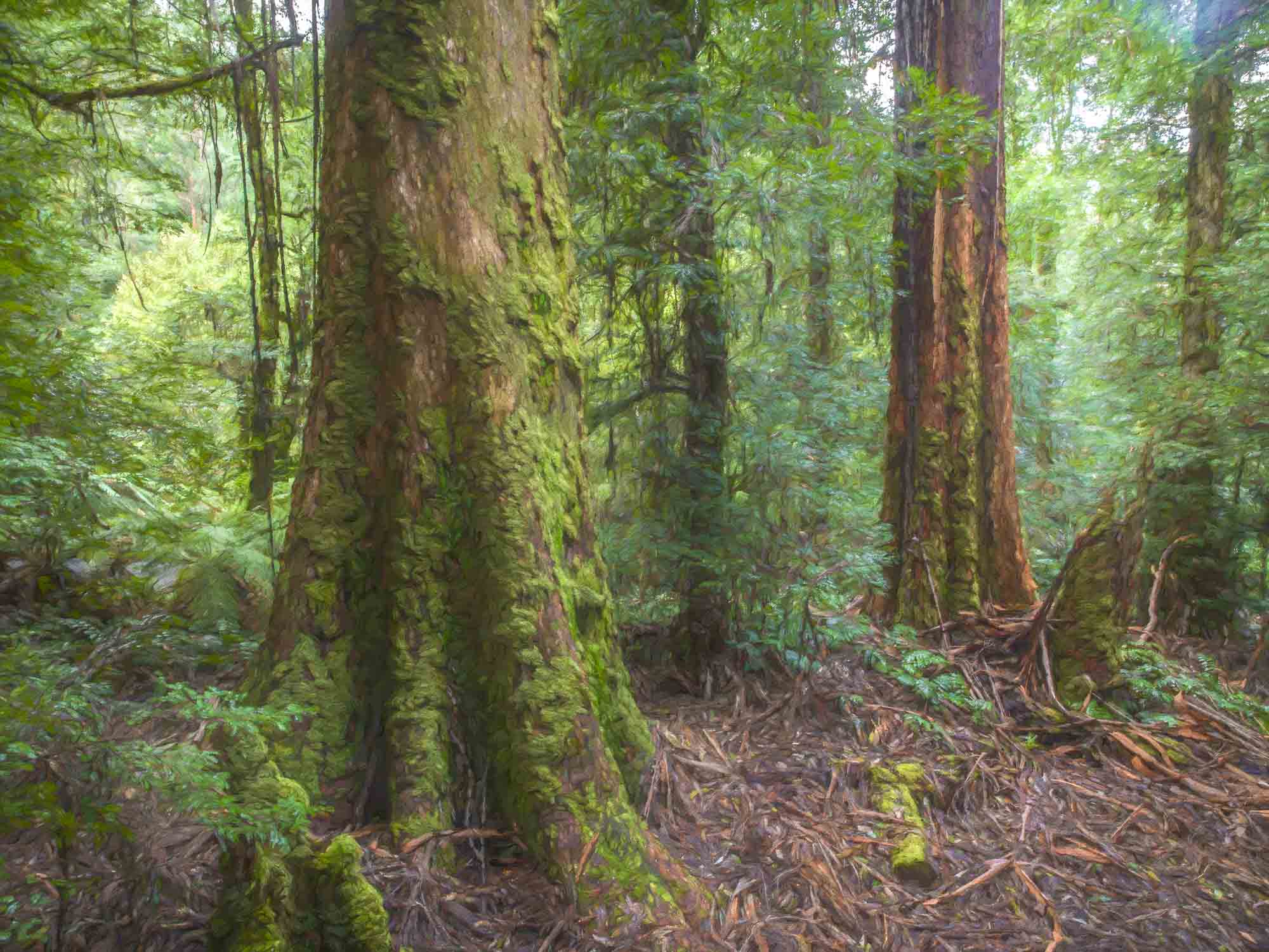 Wurundjeri Country
