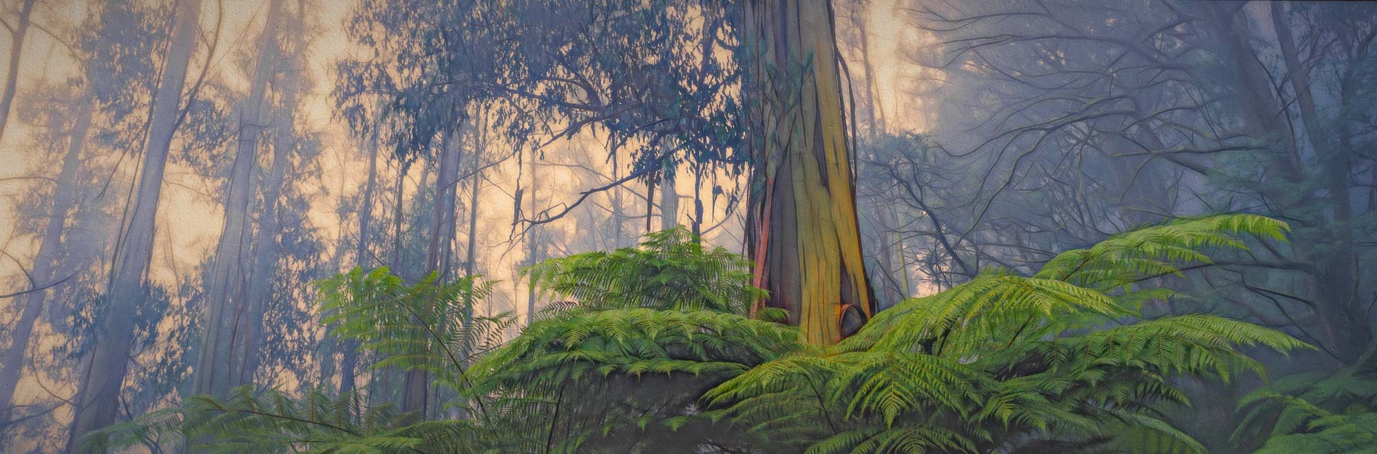 Mountain Ash Morning II