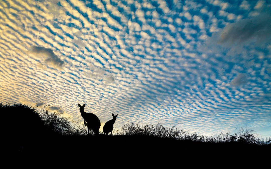 Photography: The Art of Seeing Art