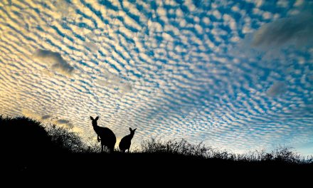 Photography: The Art of Seeing Art