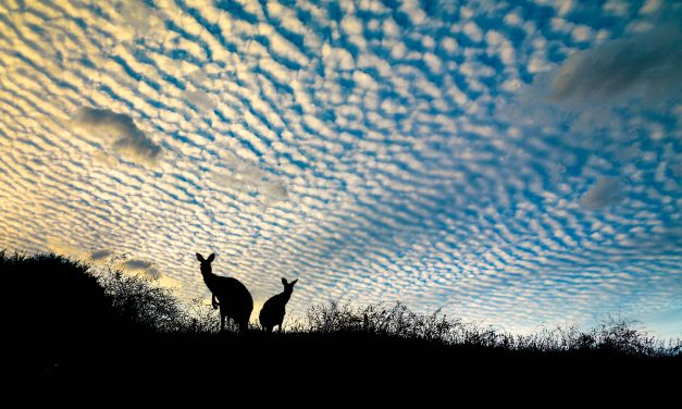 Photography: The Art of Seeing Art