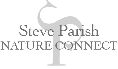 Steve Parish Nature Connect